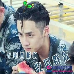 吃瓜群众蒋劲夫免费阅读,揭秘娱乐圈“吃瓜群众”背后的故事